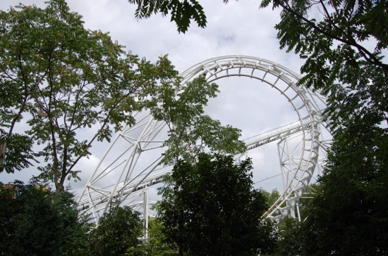 共青森林公园-上海市必去景点