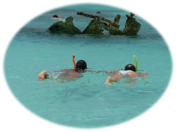 Provo Real Deal Day Tours-Turtle Cove必去景点