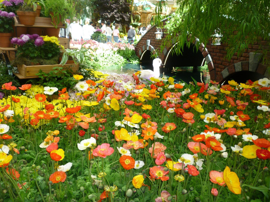 贝拉吉欧温室植物园-拉斯维加斯必去景点