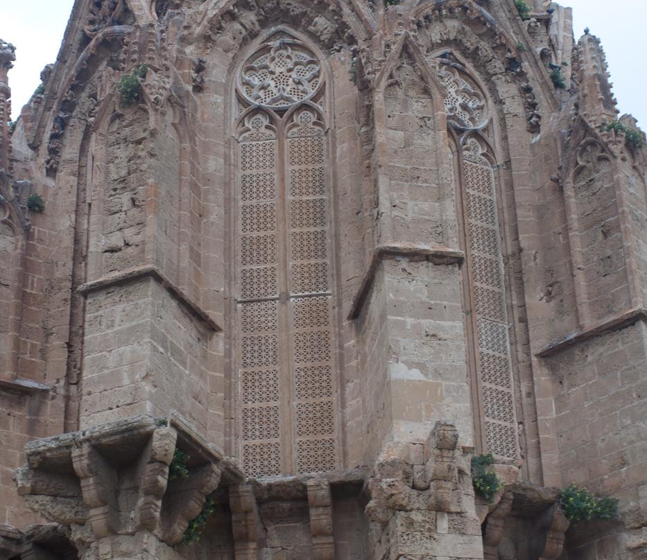 Lala Mustafa Pasha Mosque景点图片