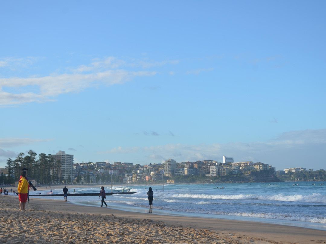 曼利海滩-悉尼必去景点
