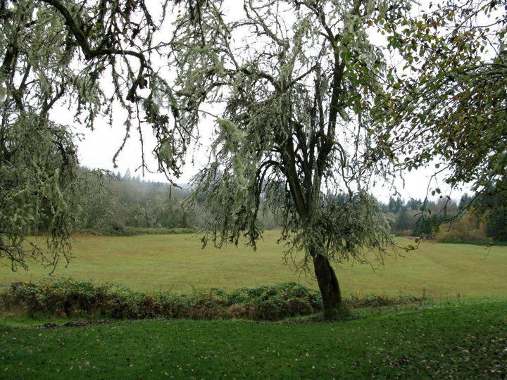 Coastal Mountain Sport Haus主图