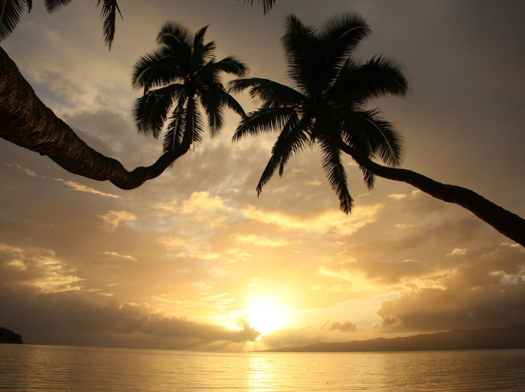 Dolphin Bay Divers Retreat