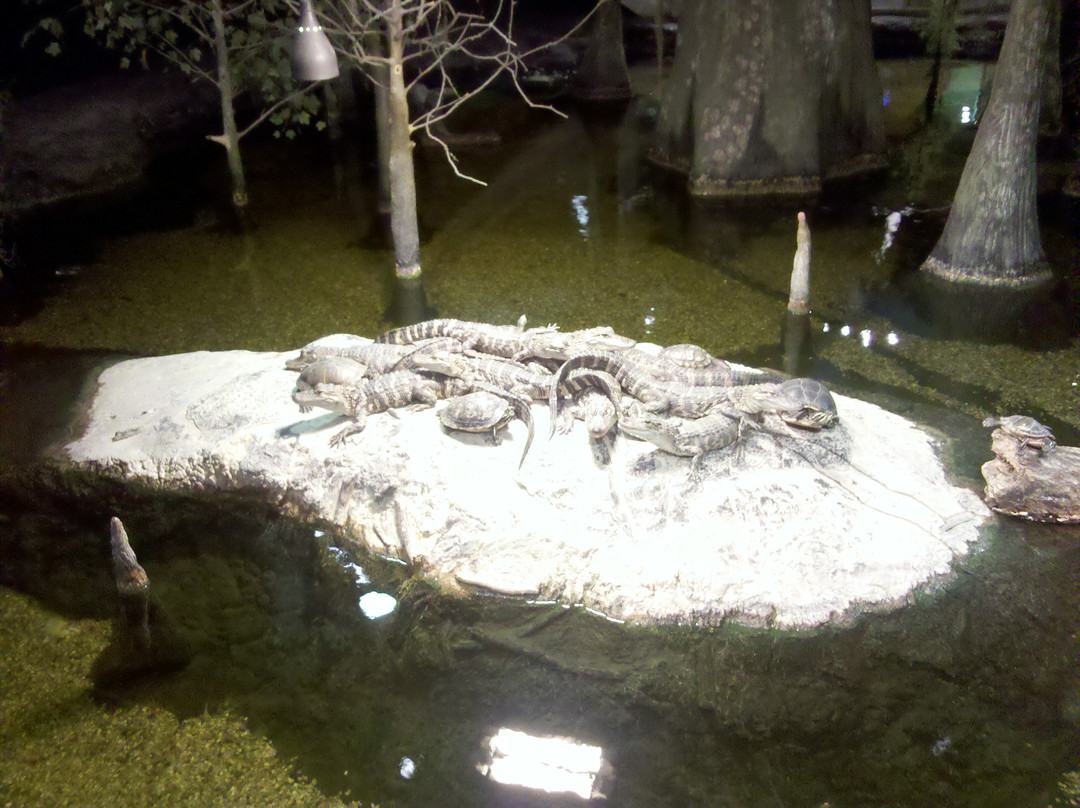 奥兰多科学中心-奥兰多必去景点