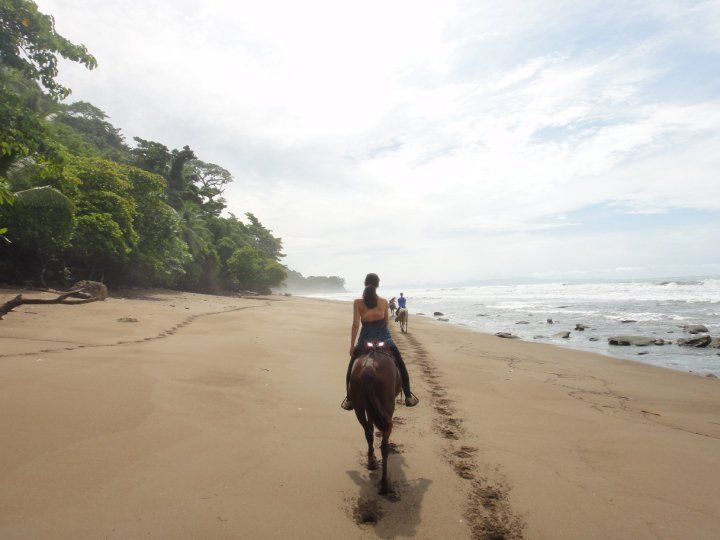 El Pinto Horseback Riding Expeditions景点图片