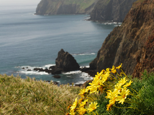 Anacapa Island-峡岛国家公园必去景点