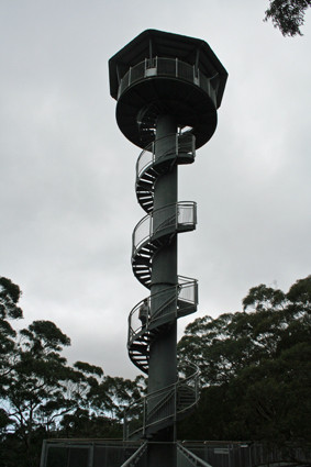 Illawarra Fly Treetop Walk景点图片