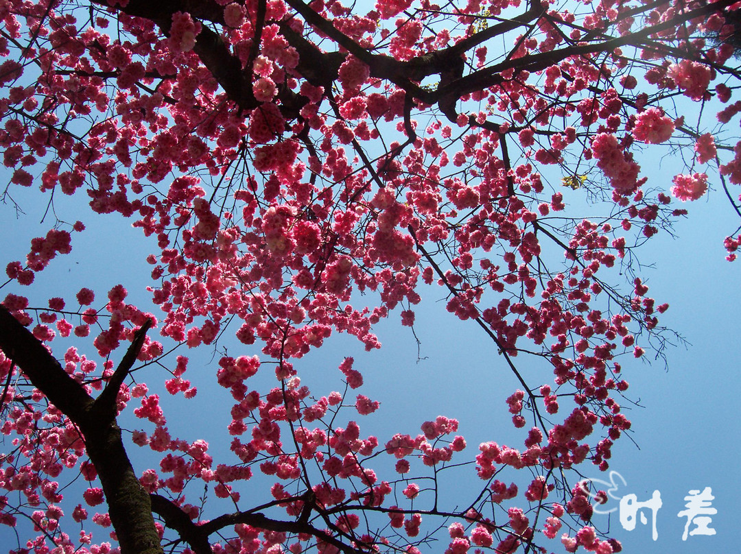 昆明动物园-昆明市必去景点