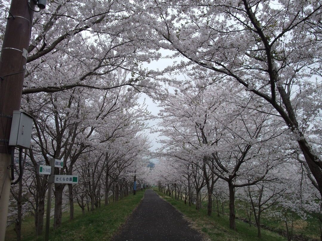 Shichikashuku Dam Nature Resting Park-七宿町必去景点