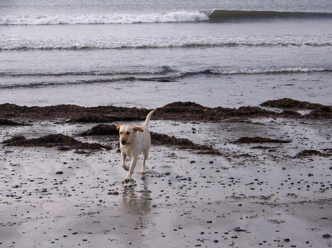 Hounds Tooth Inn主图