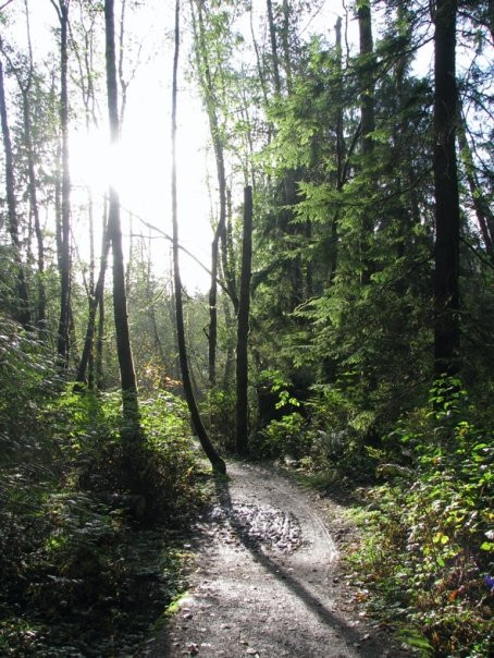 太平洋精神地区公园-温哥华必去景点