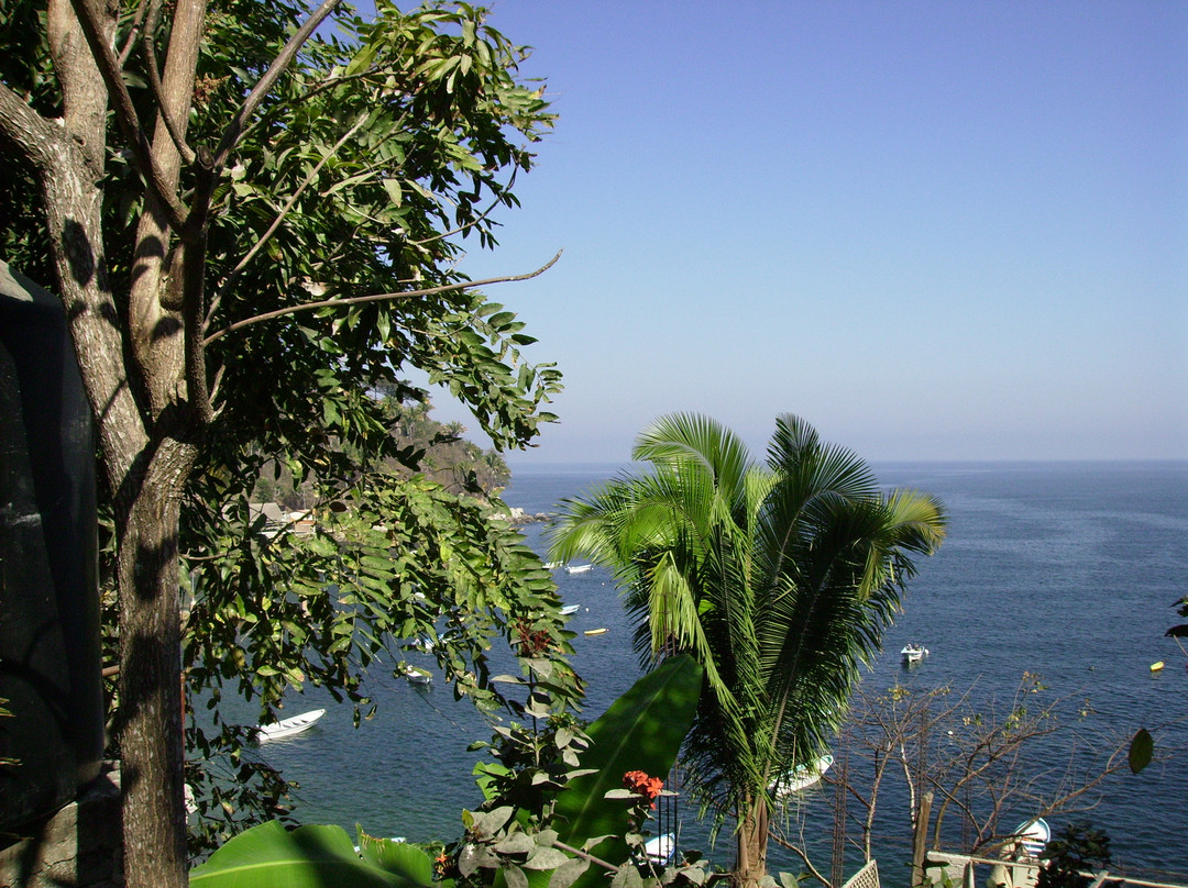 Yelapa English Spanish Institute-Yelapa必去景点