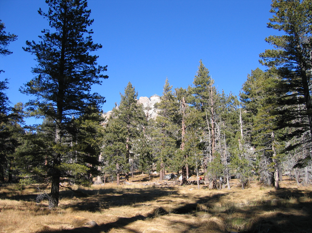 棕榈泉空中缆车-棕榈泉市必去景点