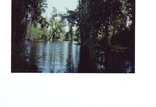 Magnolia Plantation & Gardens-查尔斯顿必去景点