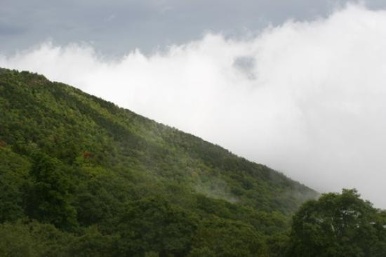 Grandfather Mountain景点图片