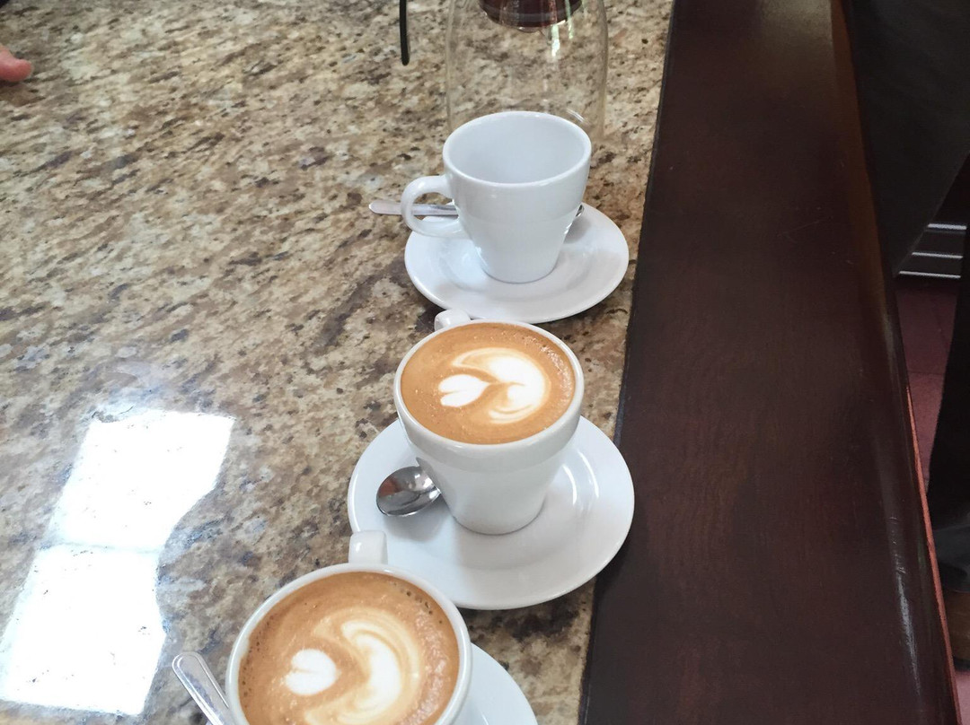 Life Monteverde-Los Tornos必去景点