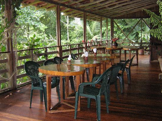 Selva Bananito Lodge