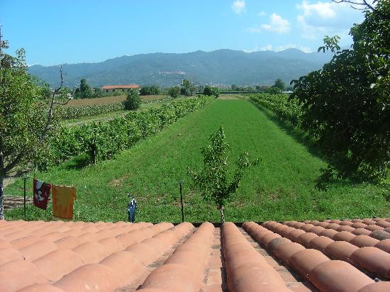 La Casa di Nonna Anna