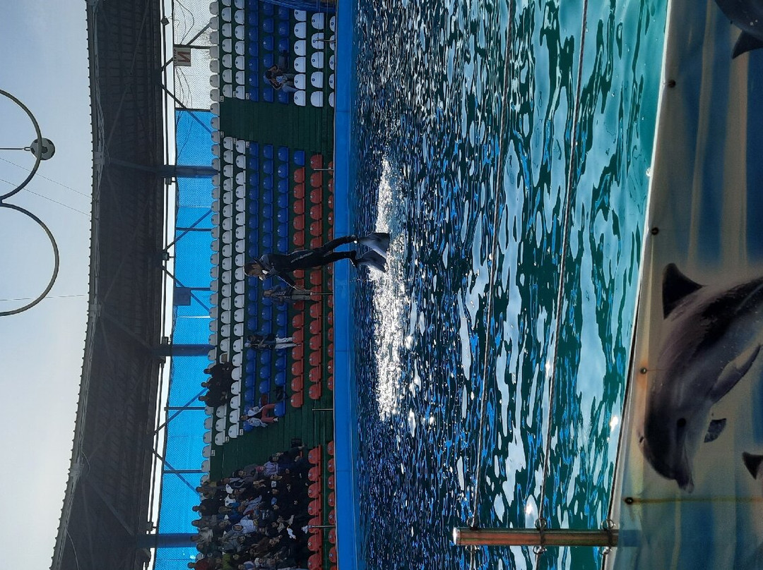 Adler Dolphinarium-索契必去景点
