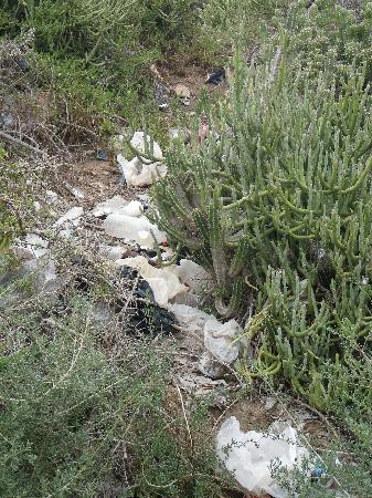 Surf Photographerbtaghazout Beach-阿加迪尔必去景点