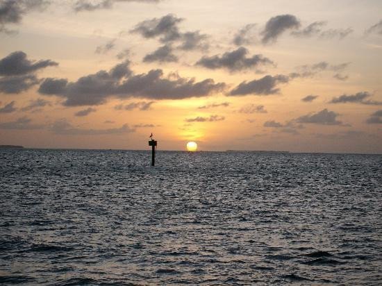 基韦斯特奇妙水上之旅-基韦斯特必去景点