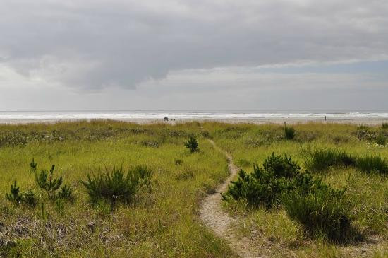 Grayland Beach State Park景点图片