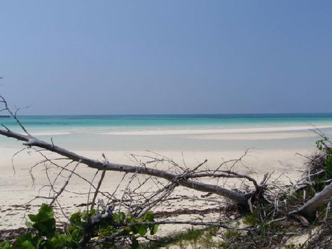 Grand Bahama Nature Tours-弗里波特必去景点