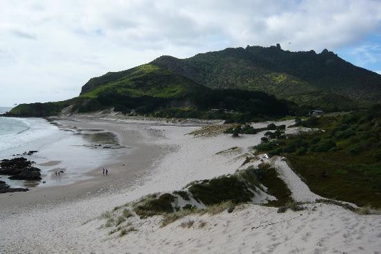 Bream Head Coast Walks景点图片
