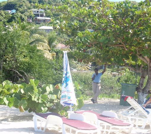 Grand Anse Beach-South Coast必去景点