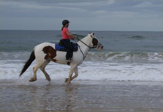 Equathon-努沙必去景点