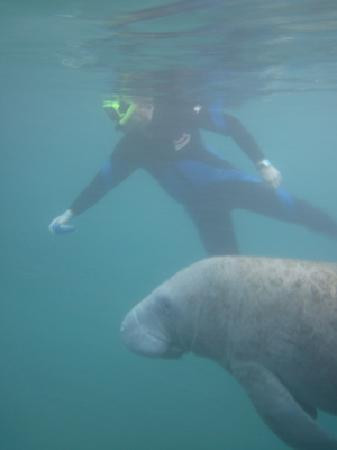 River Ventures-克里斯特尔里弗必去景点