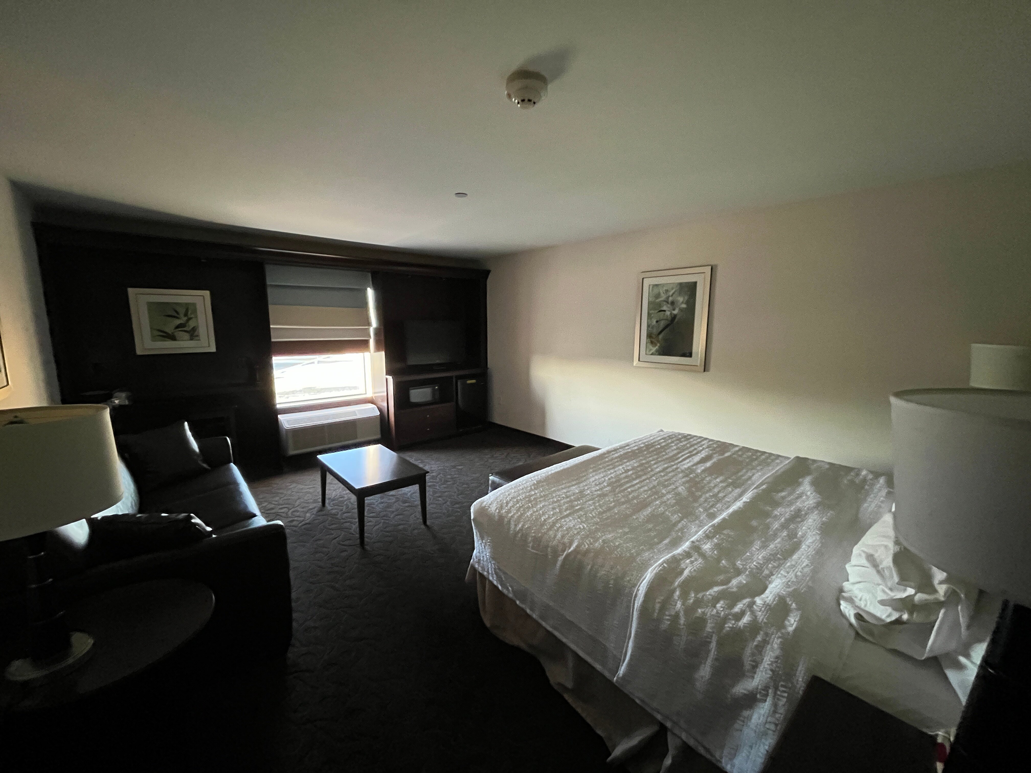 潘帕希尔顿恒庭酒店-客卧