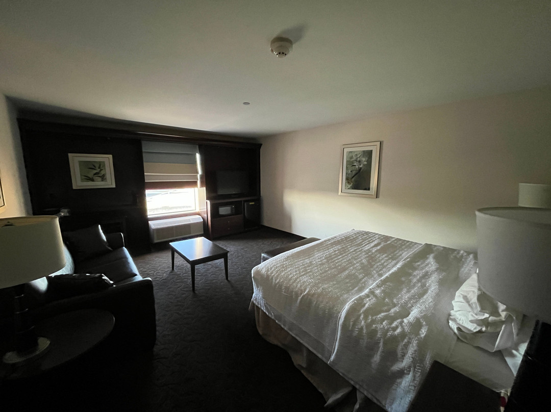 潘帕希尔顿恒庭酒店主图