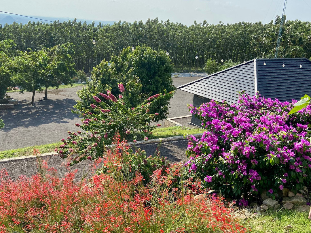 Bukit Aslan - Wisata Alam-班达楠榜必去景点