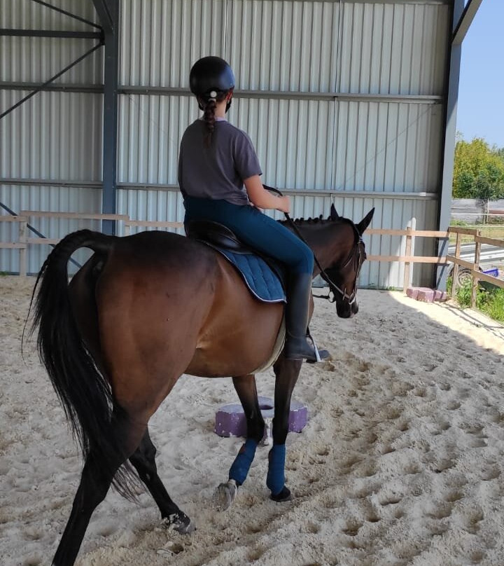 La ferme equestre des peches景点图片