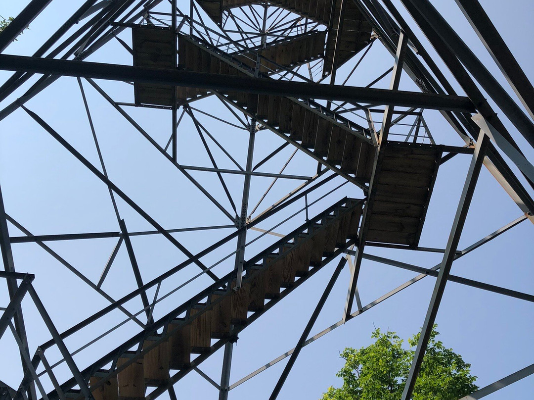 Mountain Fire Lookout Tower-Mountain必去景点