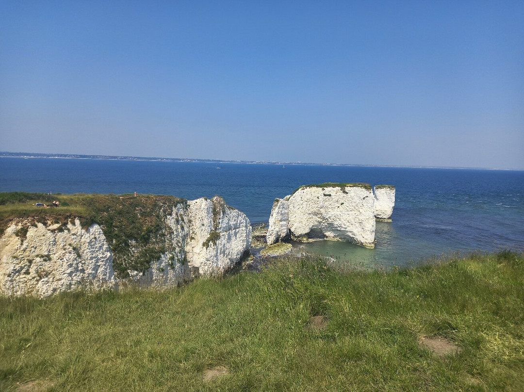 Studland to Swanage Trail-Studland必去景点