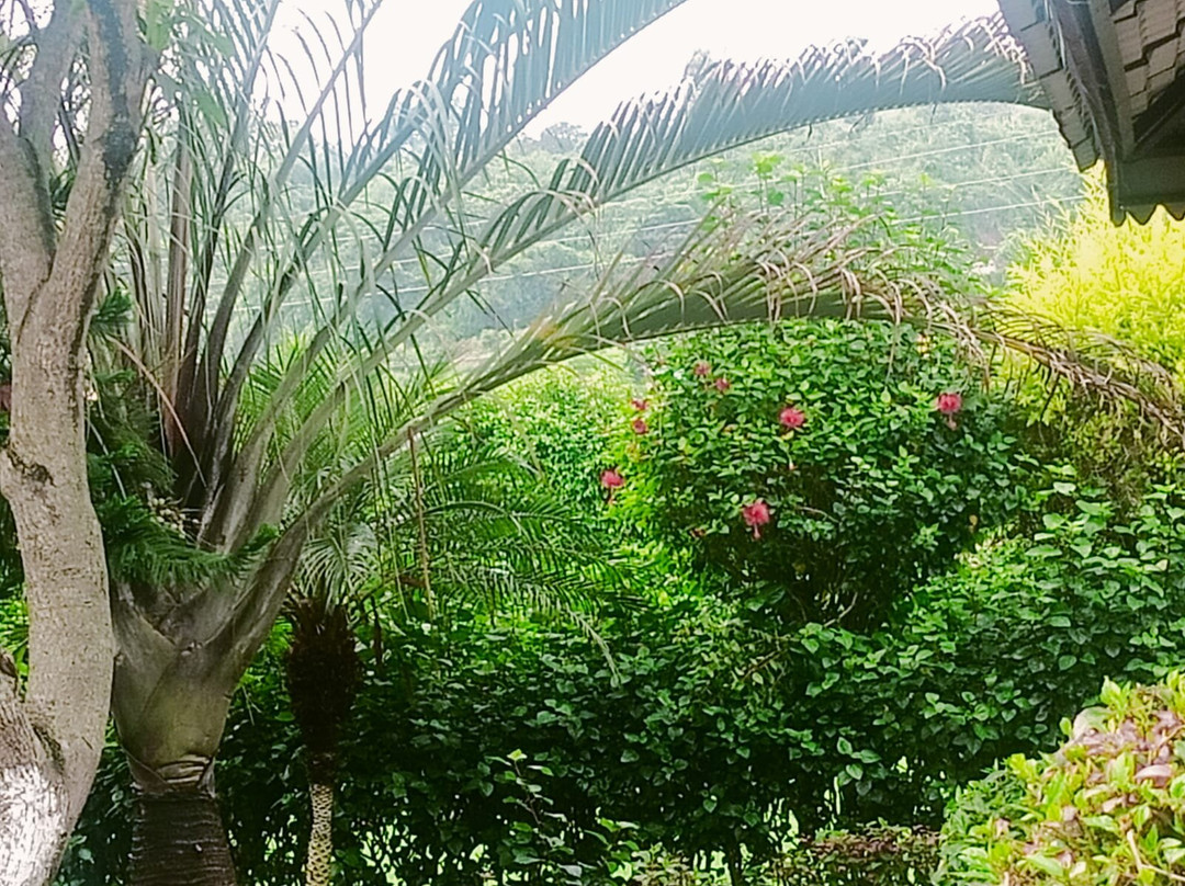 Sailani Resort主图