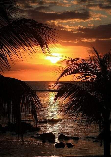 Rawand Travel & Tourism-安曼必去景点