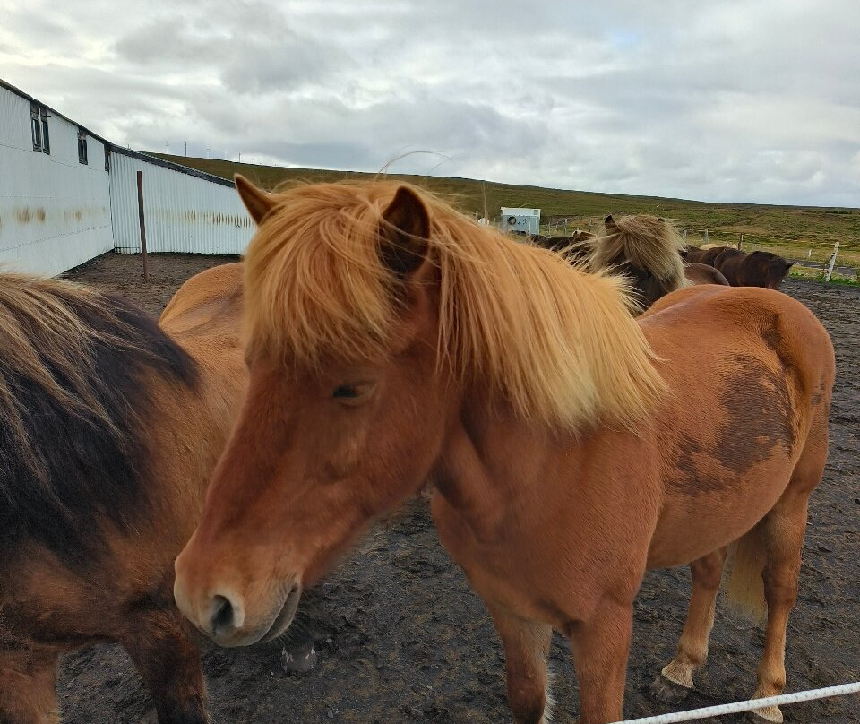 Saltvik-胡萨维克必去景点