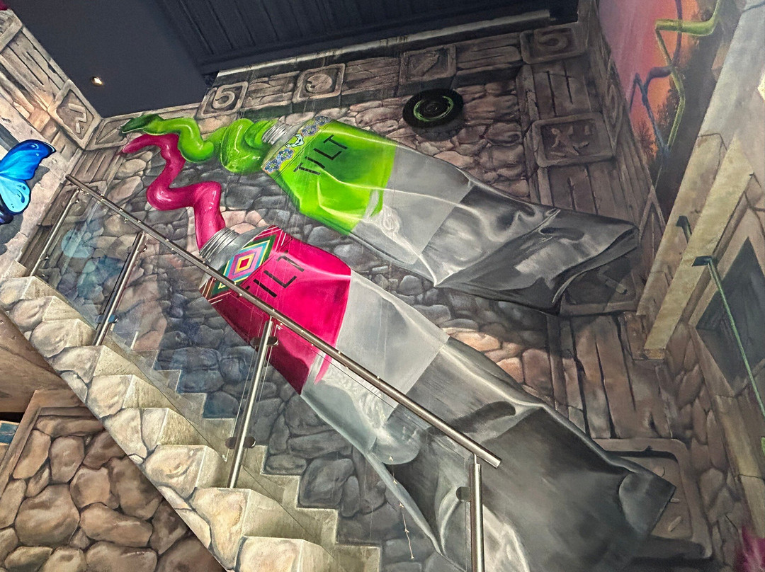 Tilt Pv A Tracy Lee Stum Museum-瓦拉塔港必去景点