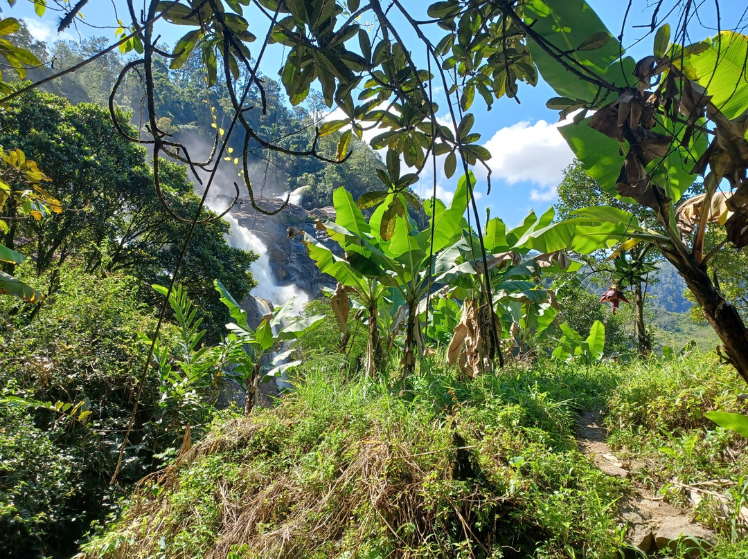 FREEBIRD MADAGASCAR TOURS-安塔那那利佛必去景点