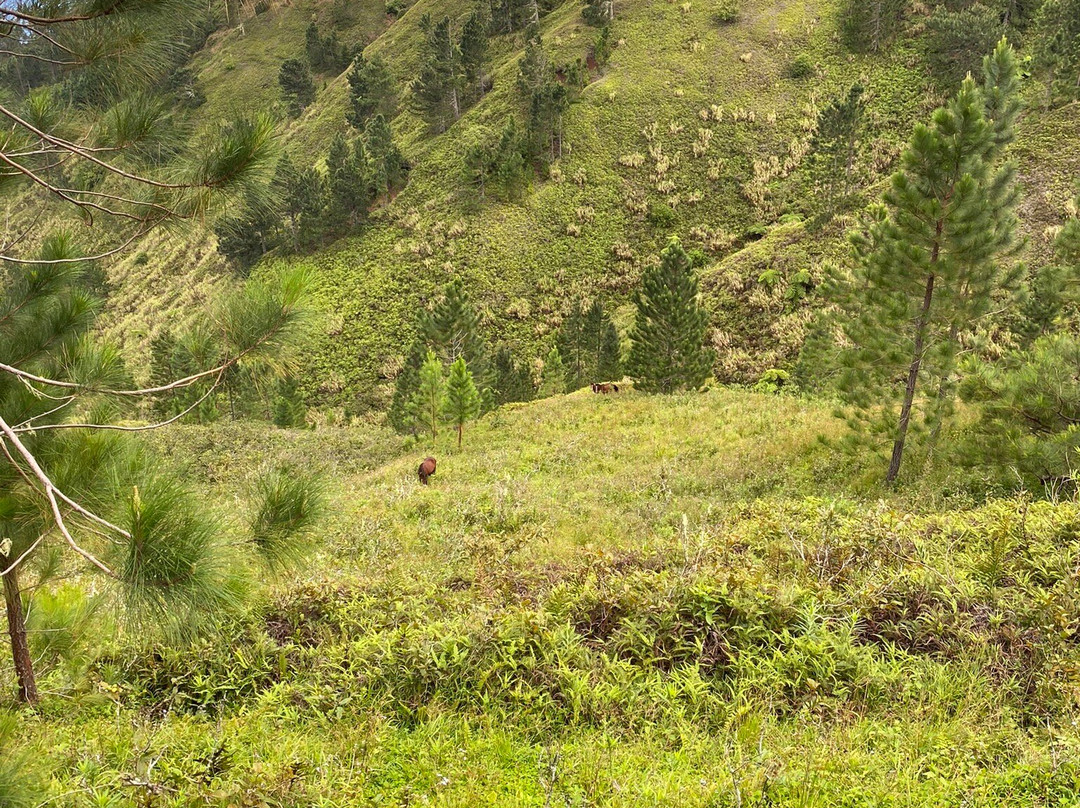 Nuku Hiva景点图片