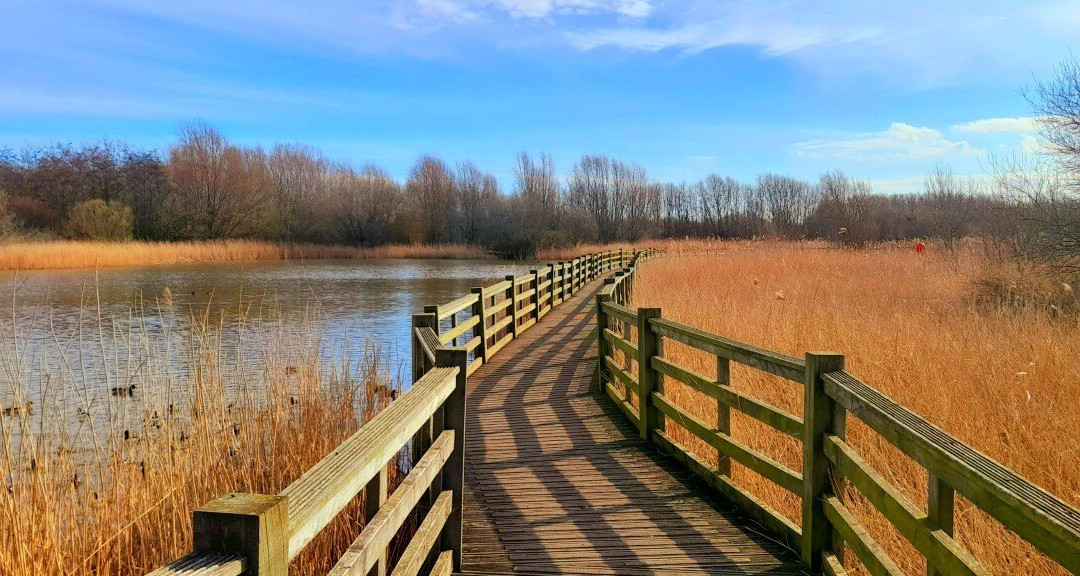 Waters' Edge Country Park & Visitor Centre景点图片