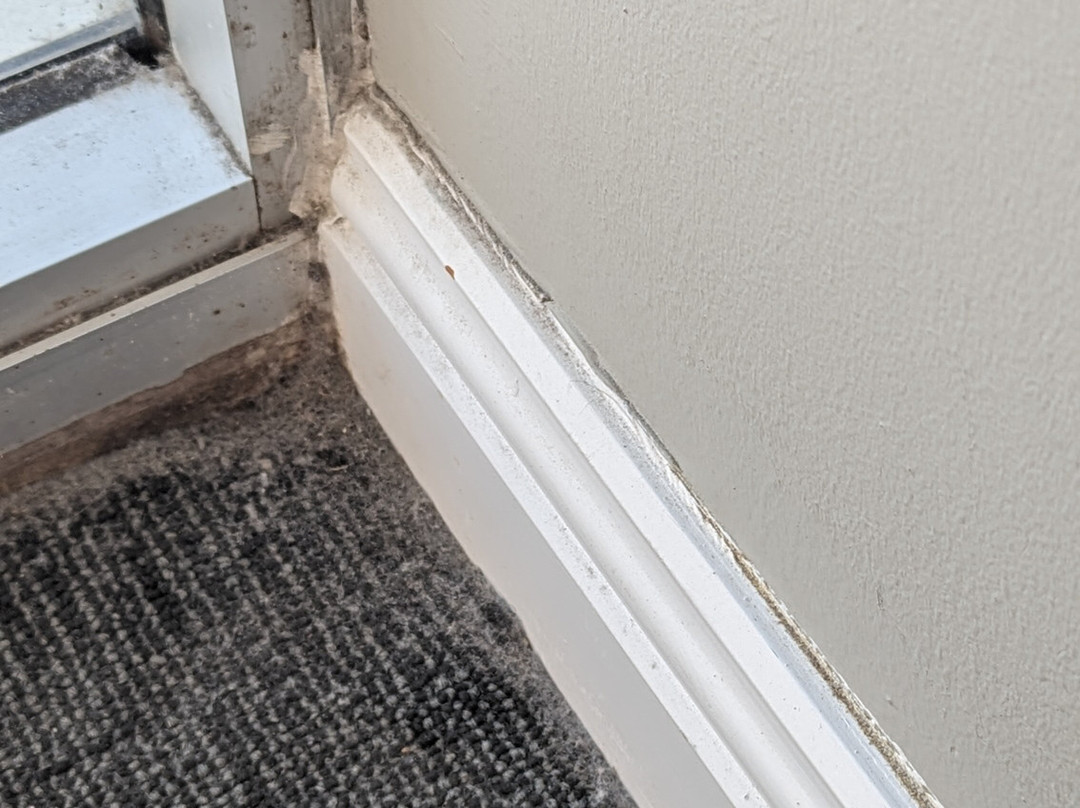 美利通套房酒店-邦迪枢纽主图