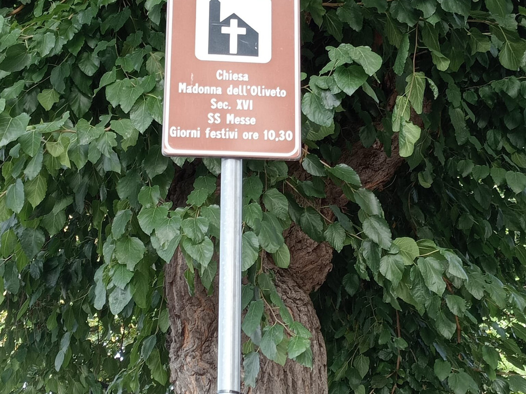 Madonna Dell'oliveto