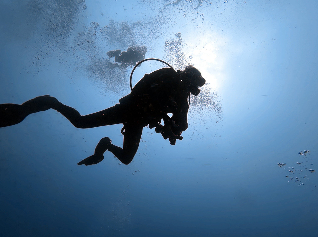 Ohana Dive Co.景点图片
