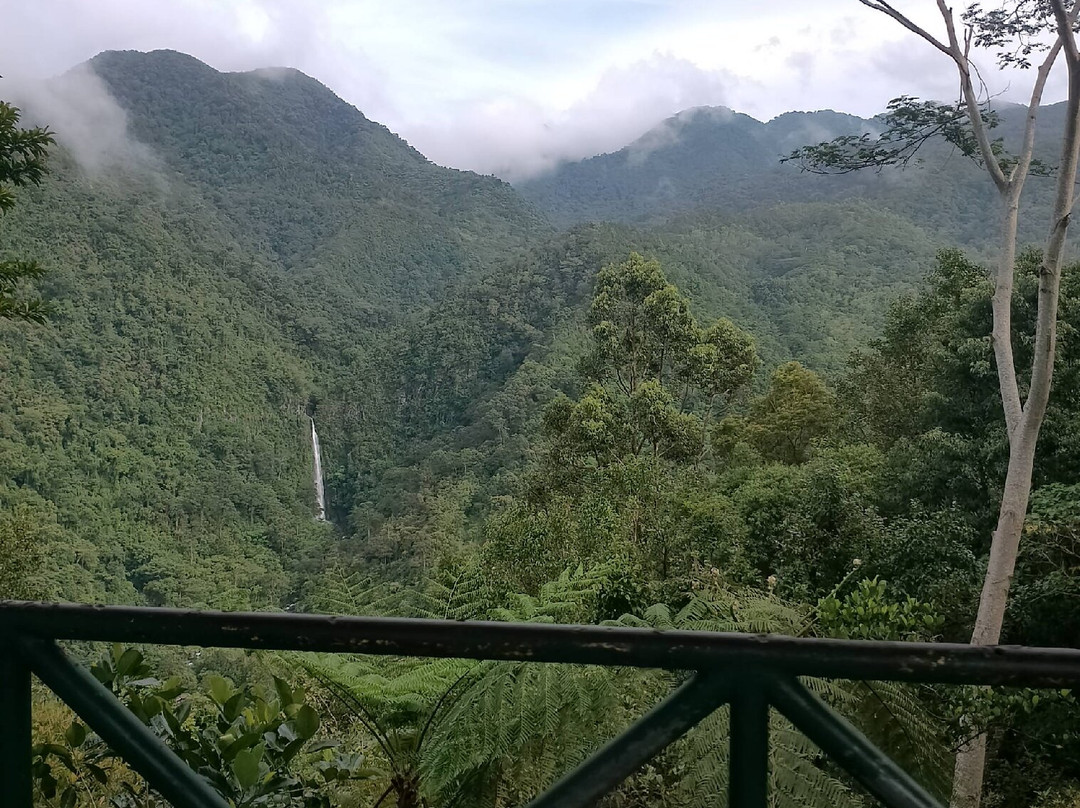 Malatan-og Falls-Don Salvador Benedicto必去景点