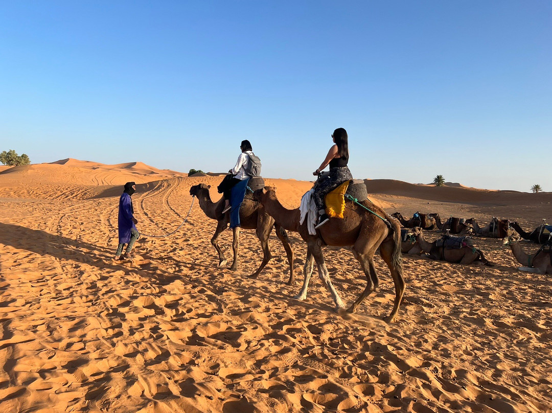 Morocco Desert Adventures景点图片