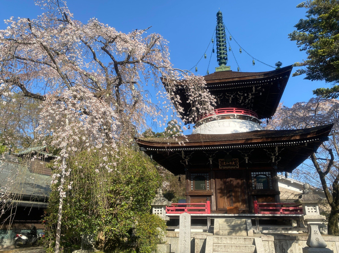 Tonanin景点图片